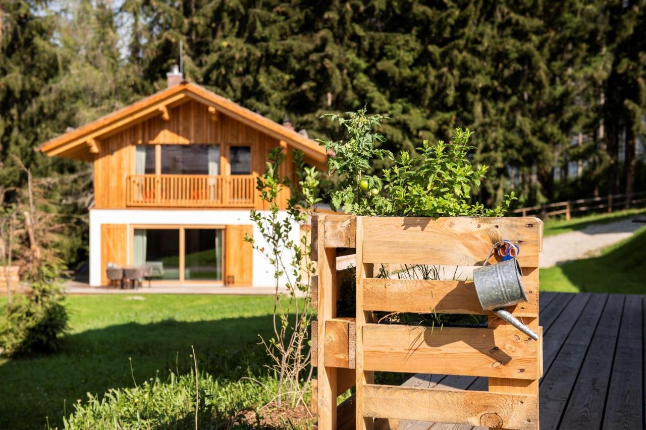 Lerchpeuntgut Alpenfreud Apartments Tamsweg Extérieur photo