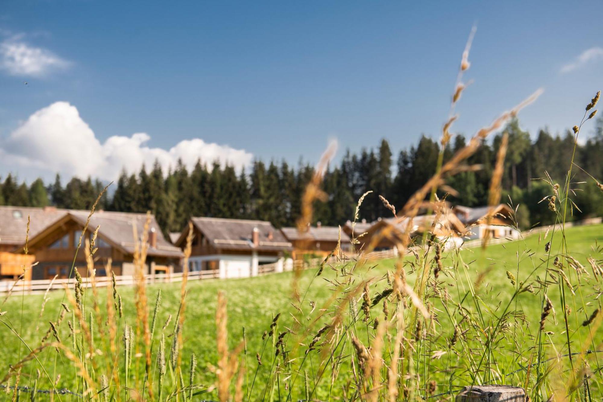 Lerchpeuntgut Alpenfreud Apartments Tamsweg Extérieur photo